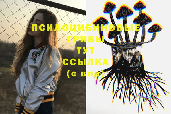 таблы Осинники