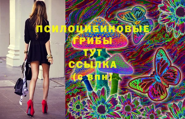 apvp Володарск