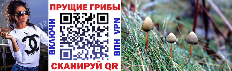 ОМГ ОМГ зеркало Калач Галлюциногенные грибы Psilocybe купить наркотик